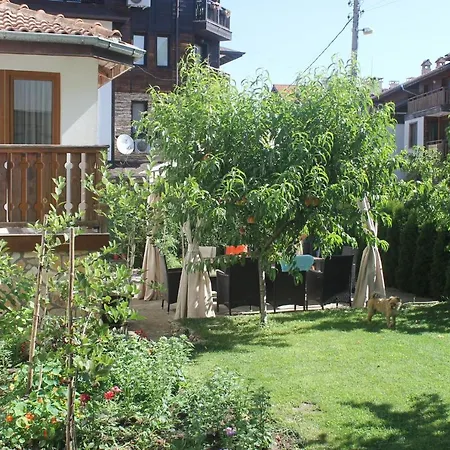 Stoyanov * 반스코