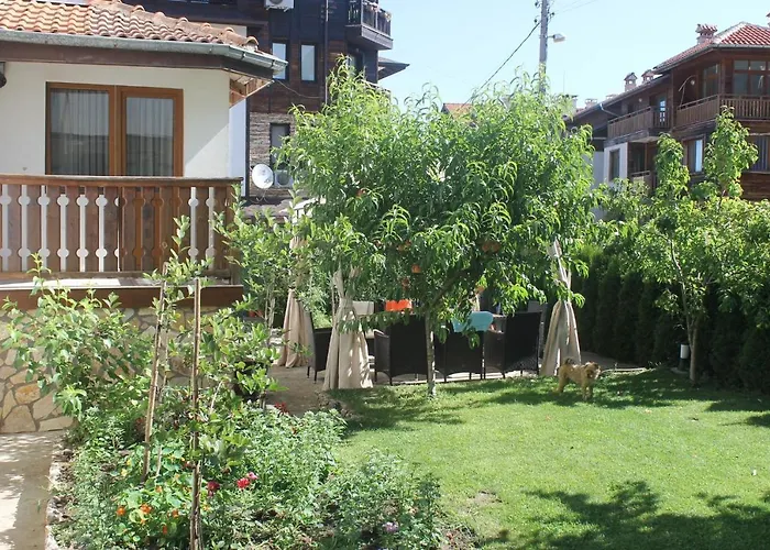 Stoyanov * バンスコ